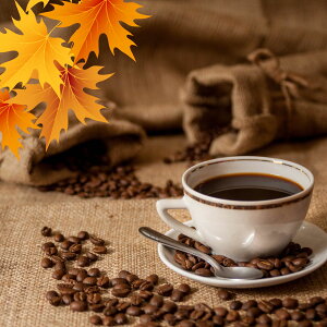 [ H蓤Zbg 200g × 2 40t ΂ ZȖ킢 }f r^} PjA }TC AAyRrjΉizR[q[Zbg Mtg VOIW n