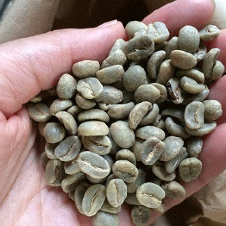 カフェインレス　コーヒー　生豆　200g