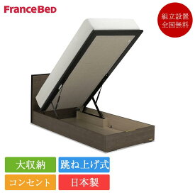 【セット特価】フランスベッド ベッド セミダブル BG-002 跳ね上げ式収納 高さ26cm TW-010α | 正規品 フランスベッド製 セミダブルベッド マットレス付き マットレスセット ベッドセット コンセント付き おしゃれ 収納 大容量 大収納 跳ね上げ bg-002 tw-010α