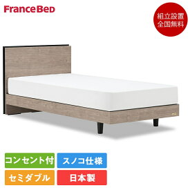 【セット特価】フランスベッド ベッド セミダブル BG-001 脚付き MT-030スリム | 正規品 目玉 bg-001 マットレス付き マットレス グレージュ 日本製 スノコ bg001mt030 腰痛 薄い かたい かため ハード