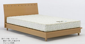 NLS-606
