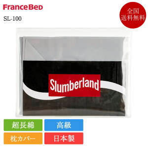 tXxbh Jo[ SL-100 | Ki Xo[h sP[X s[P[X   Te { Y 100 100  Rbg Xo[h