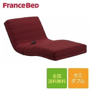 【セール期間限定クーポン発行中】フランスベッド RP-1000 DLX・RP-2000 BAE専用マットレスカバー セミダブルサイズ 122cm×195cm