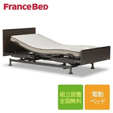 【非課税】フランスベッド レステックス02Fフレーム+RX-THFマットレス 低床3モーター 電動ベッド シングルサイズ