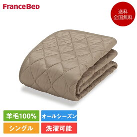 フランスベッド 羊毛メッシュパッド ライン＆アースN 寝装品3点セット シングル 97cm×195cm（ベッドパッド1枚 マットレスカバー2枚） | 正規品 フランスベッド製 カバーセット ベッドパッド Sサイズ シングル ウール 羊毛 マットレスカバー