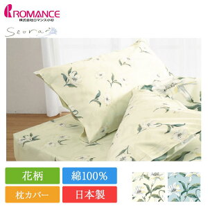 s[P[X seora me 43×63cm | Ki }X { 100 100  Rbg Jo[ }NJo[ ܂Jo[ ԕ