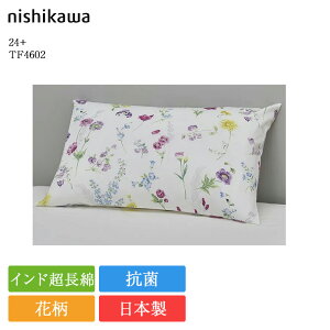  Jo[ 24+ TF4602 | Ki 쐻 s[P[X { Y ԕ Ch  Rbg 100 100 R nishikawa O[ 􂦂 Q 80Te Q 63×43 Ή