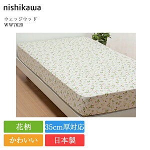  NCbNV[c VO EFbWEbh WW7620 | Ki 쐻 }bgXJo[ {bNXV[c V[c 100×200 { Y nishikawa  킢 Te Q ChXgx