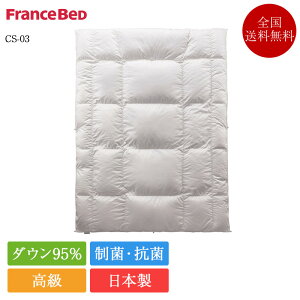 tXxbh Hѕzc _u CS-03 1^Cv | Ki HтӂƂ O[X zCgO[X_E zCgO[X g { Y JOORYU |zc zc |zc y zCgO[X