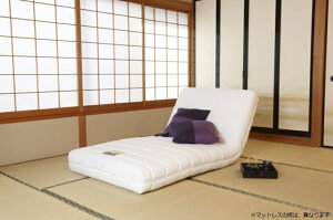 【セール期間限定クーポン発行中】フランスベッドRP-1000DLX電動シングルマットレス97cm×195cm×21cm