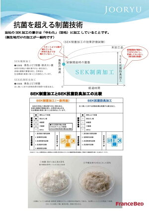 送料無料フランスベッド高級羽毛布団AS-NシステマックスプラチナEW95シングルサイズ/ポーランド産ダウン95%/日本製/最高品質/売れ筋/オールシーズンタイプ/国内自社工場一貫生産/人気