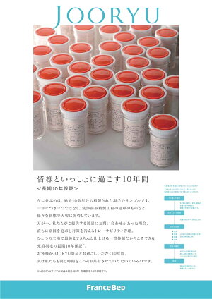 送料無料フランスベッド高級羽毛布団AS-NシステマックスプラチナEW95シングルサイズ/ポーランド産ダウン95%/日本製/最高品質/売れ筋/オールシーズンタイプ/国内自社工場一貫生産/人気