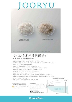送料無料フランスベッド高級羽毛布団AS-NシステマックスプラチナEW95シングルサイズ/ポーランド産ダウン95%/日本製/最高品質/売れ筋/オールシーズンタイプ/国内自社工場一貫生産/人気