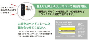 【セール期間限定クーポン発行中】フランスベッドRP-1000DLX電動シングルマットレス97cm×195cm×21cm