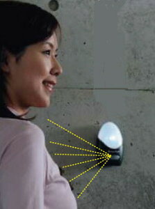 Cg Ɩ Ǌ|Ɩ uPbgCg ZT[Cg ubNZT[Ŏ_ILEDCggp LEDCg̗pŒ_Cg