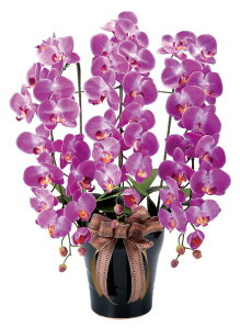 _ő83%off SALEJÒ^yLO1ʊlz[A[gt[]CӒL  ϗtA  lHϗtAG}̗͂ł̋CN[ɁI 3A0901-200  A[gt