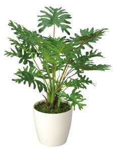 CeA u u mA[gO[nXvbgԂoIA[gO[Xvbg 3A5406-30  A[gO[ O[ ϗtA v[g 蕨 Mtg  