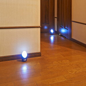 _{300~N[|zz^yLO1ʊlz SZT[Cg4g iÂLŁAlɊmē_I SW-007 Cg Ɩ ZT[Cg tbgCgij tbgC