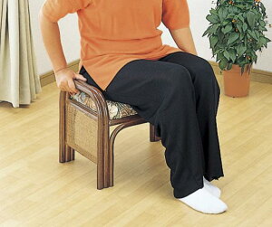 �y�����L���O1�ʎ�܁z�C�X �`�F�A ���֎q �� �炭�炭���֎q2�g �n�C�^�C�v C12 �����i���^�� ���}���X �������тꂸ���N���N�I�肷��t���I������2�Z�b�g�肷��t�ٍ��֎q��l�|��1p