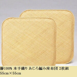 _{300~N[|zz^yLO1ʊlz 100% {D ҂ݍzc 2g 55cm×55cm nhCh a a C z 炳 AZDDD×2P CeAt@ubN NbV