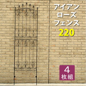 yLO܁z GNXeA K[ft@j`[ tFX ACA[YtFX220 4g IFROSE-220-4PACA AeB[N tFX eBX  K[f DIY  ͗lւ p 