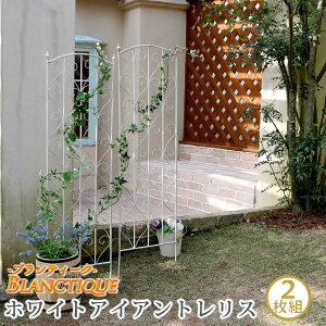 �y�����L���O1�ʎ�܁z �G�N�X�e���A �K�[�f���t�@�j�`���[ �t�F���X �u�����e�B�[�N �z���C�g�A�C�A���g�����XH147 2���g SPL-8923WHT �����i���e�B�X�t�F���X �t�F���X ���e�B�X �� �K�[�f�� D