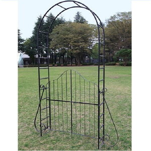 CObVK[f̃ACAA[` 01234115 K[fjO   ACA CObVK[f  A[`