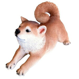 �_�{��P6�{300�~�N�[�|���^�h�b�O�I�[�i�����g(�V�o) �C���e���A���� �u�� �u��14255 �I�u�W�F �I�[�i�����g �u���� �u�� �� �f�B�X�v���C ������ �G�� �C���e���A �A�����J���G�� �u���b�N��