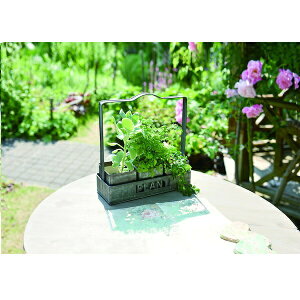 鉢植え ハンギングの人気商品 通販 価格比較 価格 Com 鉢植え ハンギングの人気商品 通販 価格比較 価格 Com