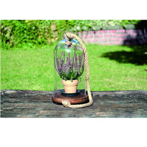 GNXeA K[ft@j`[ K[fI[ig u KXI[ig B^Cv i82086 KXI[ig I[ig A  Ɏq 炷 u AeB[N  