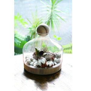 GNXeA K[ft@j`[ K[fI[ig u KXI[ig C^Cv i82087 KXI[ig I[ig A  Ɏq 炷 u AeB[N  