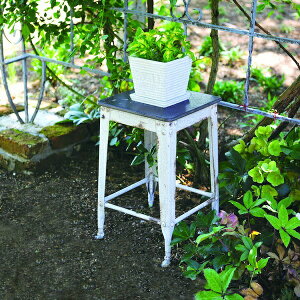 �K�[�f�j���O �_�� �A�ؔ� �v�����^�[ �v�����^�[ ���[�}���e���R�b�^ ���A���M�t A�^�C�v �����i82658 ���[�}���e���R�b�^ ���� �e���R�b�^ ���A�� �v�����^�[ �� �K�[�f�j���O �K�[�f�� �� 