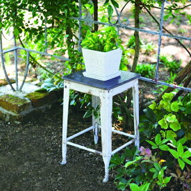 楽天市場 庭 鉢の通販