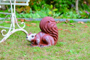 _{300~N[|zz^yLO1ʊlz K[fAj}(X) GNXeA K[ft@j`[ K[fI[ig u85082 K[fAj}  K[fjO GNX