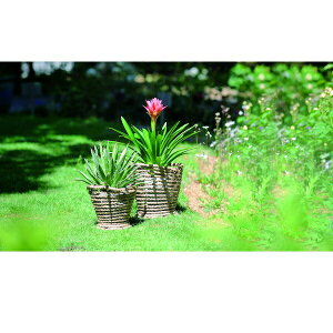 K[fjO _ Aؔ v^[ v^[ t[|bg 召Zbg i86547+86548 t[|bg |bg K[fjO GNXeA K[f   u  IuWF  