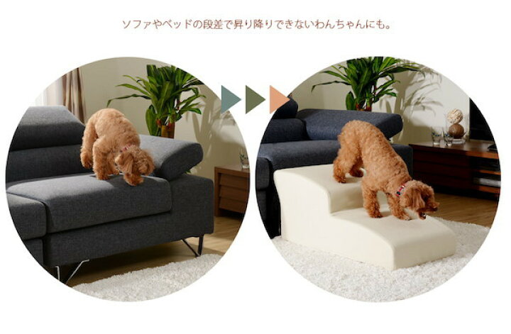 市場 300円引きクーポン進呈 犬用品 介護用品 スロープ ステップ ドッグステップ 3段 チワワモデル A 段差 安全 安心 チワワ ペット用品 合成皮革 お洒落 Usld Udru Ac Th 市場 300円引きクーポン進呈 犬用品 介護用品 スロープ ステップ ドッグステップ 3段 チワワモデル A 段差 安全 安心 チワワ ペット用品 合成皮革 お洒落 Usld Udru Ac Th