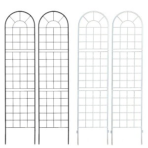 yLO1ʎ܁z GNXeA K[ft@j`[ tFX NVbNtFX220 nC^Cv 2gYB016H-2P tFX ACA K[ftFX K[fjO v^[  d