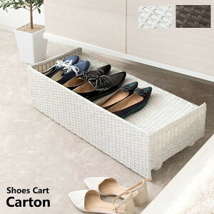 yLO܁z [Ƌ ֎[ ʔ V[Y{bNX V[YJ[g CartoniJgj iSC-800 B[ Ԏ[  ʔ C C V[YP[X