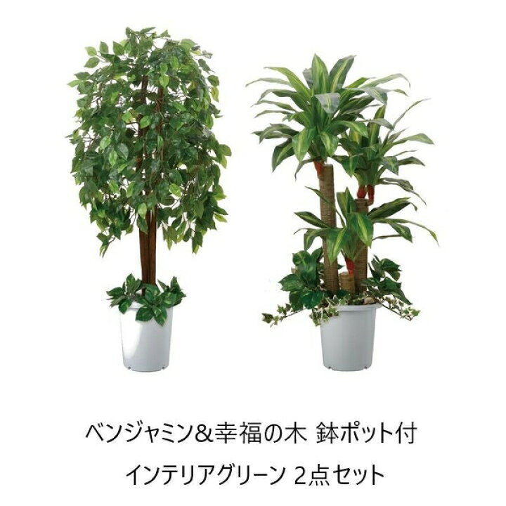 楽天市場 300円引きクーポン進呈 花 観葉植物 観葉植物 ベンジャミン 幸福の木 鉢ポット付 インテリアグリーン 2点セットa 水やり不要 造木 ボリューム 自然 間仕切り 全品送料込み コミコミ家具
