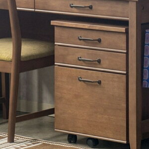 _{300~N[|zz^gC-P/kiduku 42S ItBXƋ ItBX[ TChS t@CS910215520 LX^[t i` _ hZ q