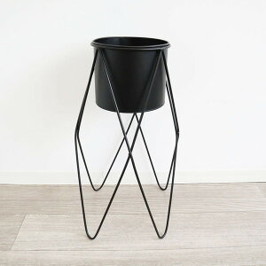 _{300~N[|zz^ACAX^hv^[(Jo[) 1707TSF009 K[fjO _ Aؔ v^[ Aؔ v^[Jo[1707TSF009 ԑ Jo[