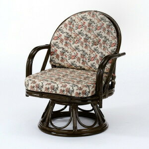 yLO܁z CX `FA ֎q  ]֎q ~hnC^CvS253B i ^ }X rO a  Ȃ  ԕ m