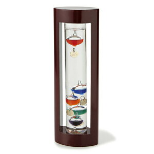 _{300~N[|zz^KXt[gxv L ؘg uE Fun Science xv xv333-202 v[g j u IuWF CeA  