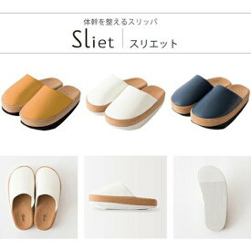ダイエット ダイエット器具 ダイエットスリッパ 体幹を整えるスリッパ スリエットa1489610 a1489620 a1489630 スリッパ 健康 ダイエット 室内 運動 ながら運動 リラックス