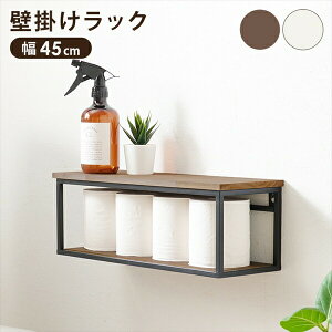 �_�{��300�~�N�[�|���z�z�^�A�C�A���t���[���̕Ǌ|�����b�N ��45cm ���[�Ƌ� �{�I ���b�N �J���[�{�b�N�X �I�[�v�����b�NKR-3860 �A�C�A�� �S �Ǌ|�� ��������[ �I �f�B�X�v���C