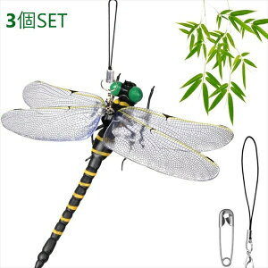 _{300~N[|zz^悯 Ij}R 3Zbg wXPA qpi 悯pi20230711-3915 悯 Zbg ɂ S} ŋ  ObY ΍