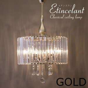 Cg Ɩ ̑ NVJV[Ov 5 G^XEtincelantYG20107-5PB Be[W NVJ _ AeB[N i 