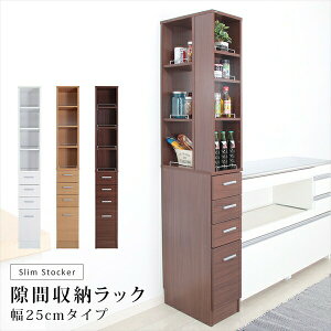 yLO1ʎ܁z [Ƌ Lb`[ Lb`Ԏ[ Ԏ[bN 25cmSSK-T25 X  [ Lb` _CjO rO  ʏ  p ׂ