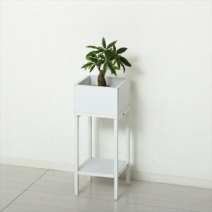 _{300~N[|zz^yLO1ʊlzv^[X^hIt [^Cv ؖ K[fjO _ Aؔ v^[ ̑23428 Vv X^CbV i` ؖ z