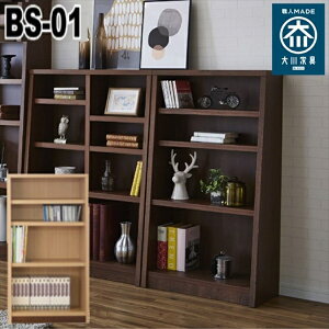 �_�{��300�~�N�[�|���z�z�^�����i�̍��Y �u�b�N�V�F���t ��70cm �~�h���^�C�v ���[�Ƌ� �{�I ���b�N �J���[�{�b�N�X �}�K�W�����b�N �V�F���tBS-01-70M �����i ���Y �u�b�N�V�F���t ���芴 ��` 